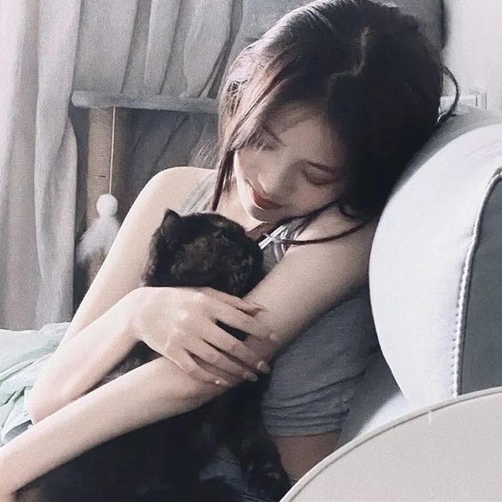 代号猎鹰